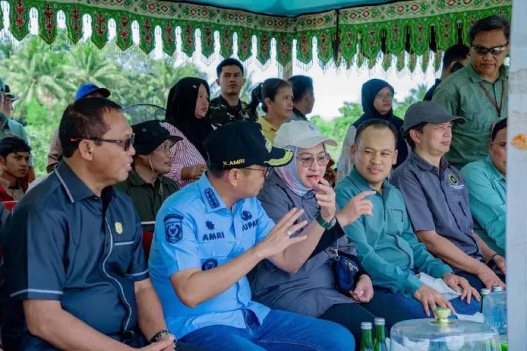 Bupati Kolaka Soroti Lonjakan Harga Beras & Peringatkan Peredaran Beras Oplosan